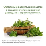 Огород на подоконнике. Идеальный урожай не выходя из дома — изображение 8
