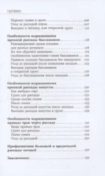 Рассадоводство. Первые шаги к здоровому урожаю — изображение 3