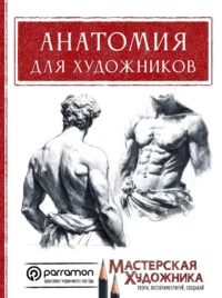 Анатомия для художников. Давид Санмигель