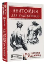 Анатомия для художников — изображение 2