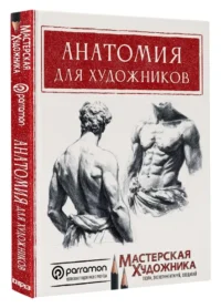 Анатомия для художников — Живопись, рисование
