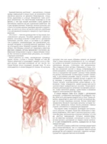Анатомия для художников — изображение 7