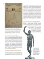 Анатомия для художников — изображение 10