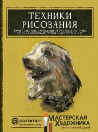 Техники рисования. Графит, цветные карандаши, уголь, пастель, тушь, сангина, восковые мелки, фломастеры и другое. Давид Санмигель