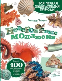 Невероятные моллюски. Александр Тихонов