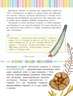 Невероятные моллюски — изображение 12