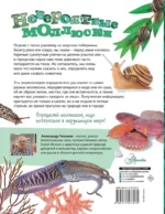 Невероятные моллюски — изображение 3