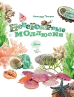 Невероятные моллюски — изображение 4