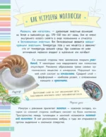 Невероятные моллюски — изображение 5