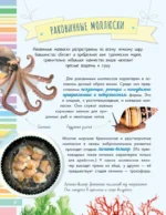 Невероятные моллюски — изображение 8