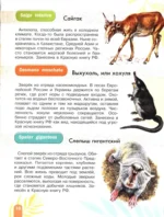 Красная книга. Активити — изображение 8