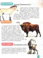 Красная книга. Активити — изображение 9