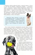 Породы собак. Определитель — изображение 6
