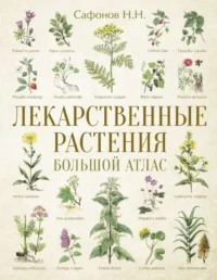 Лекарственные растения. Большой атлас. САФОНОВ Н.Н.