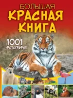 Большая красная книга. 1001 фотография. Анна Спектор