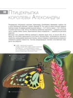 Большая красная книга. 1001 фотография — изображение 11