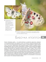 Большая красная книга. 1001 фотография — изображение 12