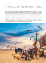 Большая красная книга. 1001 фотография — изображение 7