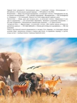 Большая красная книга. 1001 фотография — изображение 8