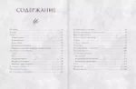 Хочу котенка. Создание реалистичных котят в технике сухого валяния — изображение 4