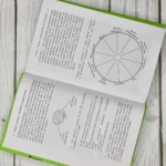 FINOMEN ИНВЕСТИЦИЙ. Финансовая грамотность (книга-практикум) — изображение 8