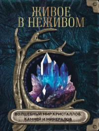 Живое в неживом. Волшебный мир кристаллов, камней и минералов. КУЛАГИНА А. (РЕД.)