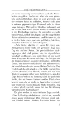 Die Verwandlung — изображение 4
