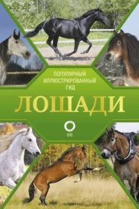 Лошади. Иллюстрированный гид. СПЕКТОР А.А.