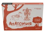 Анатомия для художников. Экспресс-курс + скетчбук. WALTER FOSTER