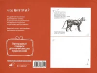Анатомия для художников. Экспресс-курс + скетчбук — Живопись, рисование
