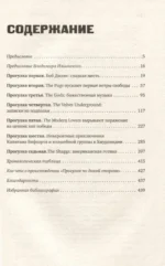 Панк-рок. Предыстория. Прогулки по дикой стороне: от Боба Дилана до Капитана Бифхарта — изображение 5