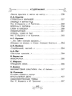 Всё-всё-всё для внеклассного чтения — изображение 3