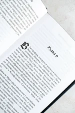 Украденный роман — изображение 7