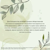 Эликсир для души. Метафорические ассоциативные карты — Гадания, карты таро