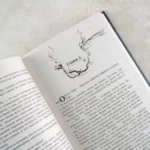 Дочь Затонувшей империи — изображение 5