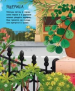 Городские животные — изображение 7
