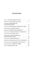 Сокровища ханской ставки — изображение 3