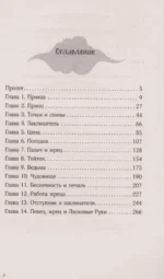 Небо примет лучших — изображение 3