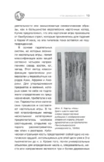 Подлинное таро. История развития, культура, смыслы — изображение 15
