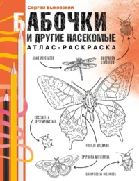 Бабочки и другие насекомые. Атлас-раскраска. Сергей Быковский