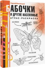 Бабочки и другие насекомые. Атлас-раскраска — изображение 2