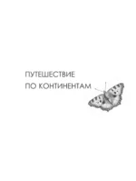 Бабочки и другие насекомые. Атлас-раскраска — изображение 5
