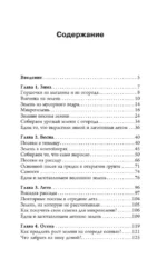 Почем пучок. Как выращивать свою зелень — изображение 3