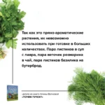 Почем пучок. Как выращивать свою зелень — изображение 5