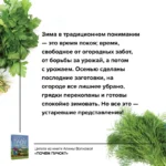 Почем пучок. Как выращивать свою зелень — изображение 7