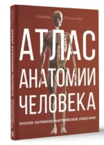 Атлас анатомии человека. Русско-латинско-английское издание. ПАЛЫЧЕВА Л.