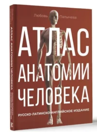 Атлас анатомии человека. Русско-латинско-английское издание. ПАЛЫЧЕВА Л.