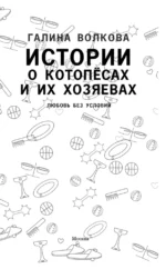 Истории о котопёсах и их хозяевах — изображение 3