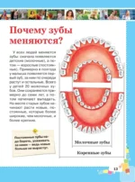 Первая энциклопедия для девочек — изображение 14