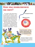Первая энциклопедия для девочек — изображение 9